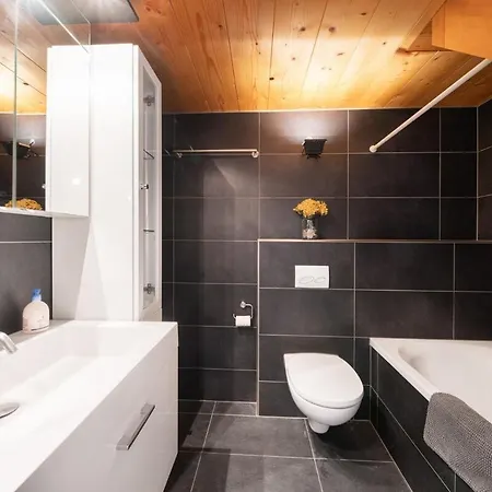 Charming Apartment-prime Location Brienz (Bern)