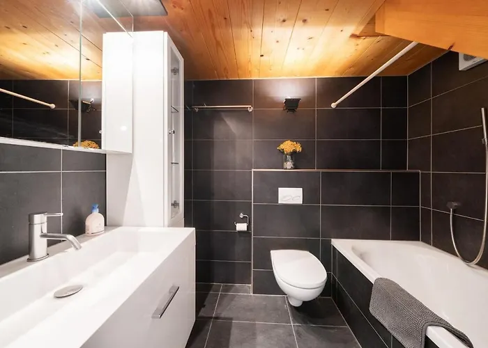 Charming Apartment-prime Location Brienz (Bern)