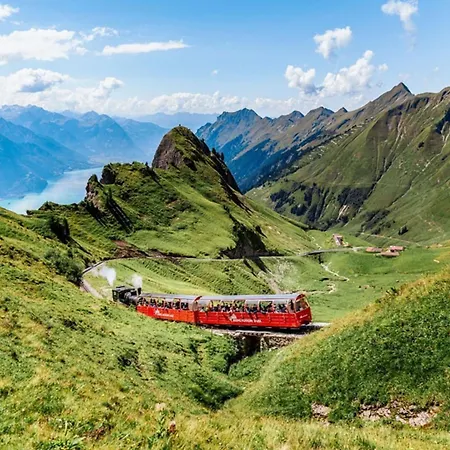 Charming Apartment-prime Location